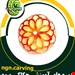  حکاکی سیب و میوه آرایی