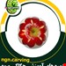  حکاکی سیب و میوه آرایی