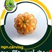  حکاکی پرتقال و میوه آرایی